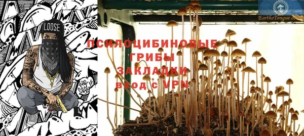 крисы Беломорск