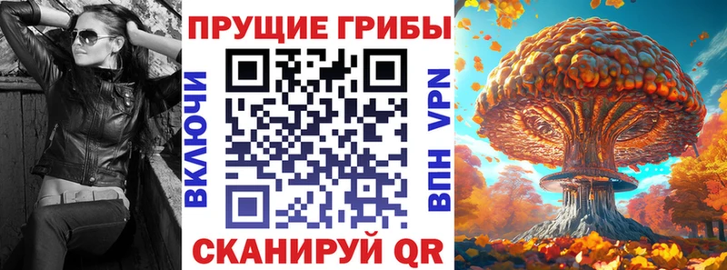 Псилоцибиновые грибы прущие грибы Озёрск