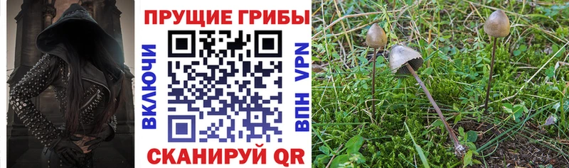 наркота  Озёрск  Псилоцибиновые грибы ЛСД 